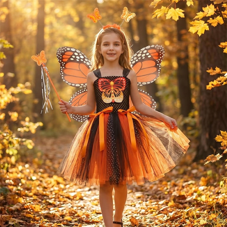 fairy birthday party dress Princess Rainbow butterfly Birthday Dress Skirt Girls Fairy Party Kids Clothes