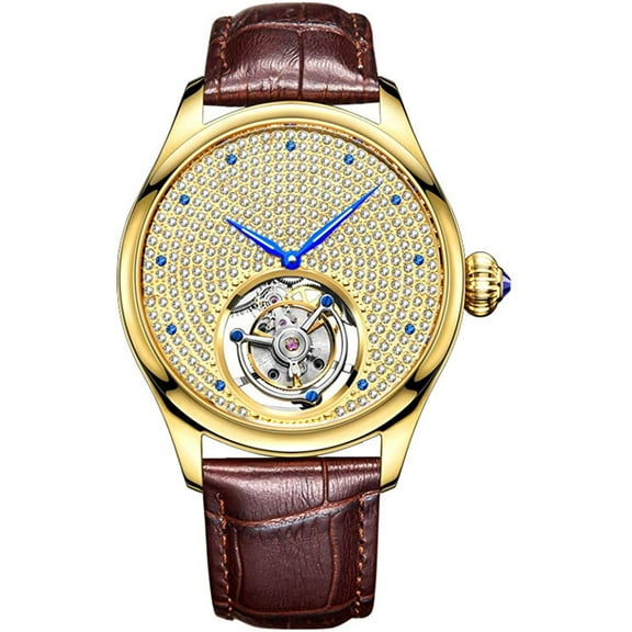 Aesop Men's Genuine Mechanical Hand-Wind Tourbillon Gypsophila Luminous Wrist Watch Business Dress Watches Leather Strap