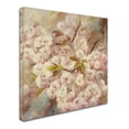 thumbnail image 3 of Trademark Fine Art "Rose Bush I" Canvas Art by Li Bo, 3 of 4