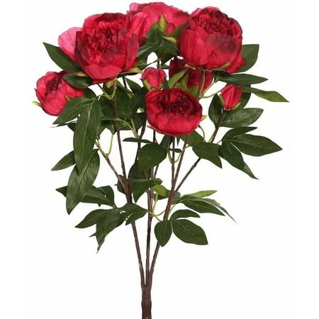 - Vickerman 23