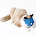 thumbnail image 2 of de malla para gatos y gatitos, antibire para mascotas, para aseo de gatos S Yuyangstore Bozal de gato, 2 of 8