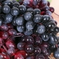 thumbnail image 3 of suxuMhao Artificial Grapes,5 Packs 6.3 IN Simulation Fruit,24-Grapes Bunch Fake Fruits,Faux Fruit for Home Decor,Artificial Fruits & Vegetables Decor Fruit for Holiday & Retail Display, Green, 3 of 5