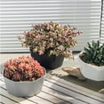 thumbnail image 4 of Simple Flower Pot Set Planter Succulent Plants Large Opening Bottom Tray Indoor Flowerpot Household Durable Holder Black, 4 of 9