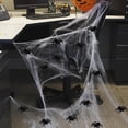 thumbnail image 4 of EFINNY 10pcs Realistic Spiders Plastic Fake Spider Halloween Party Prank Props (4.3" x 3.14"), 4 of 6