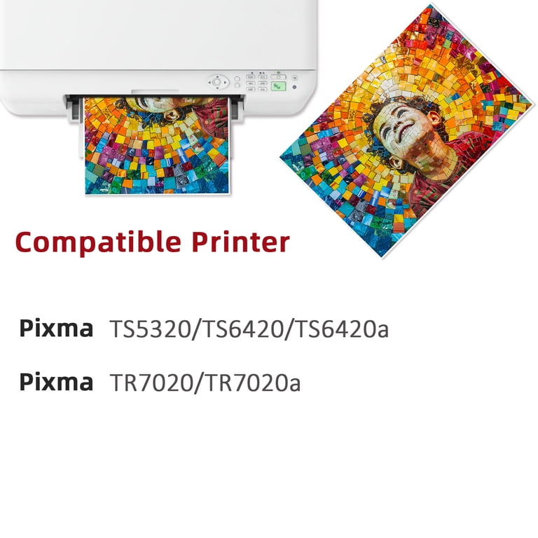 Kit Ricarica Inchiostro Per Canon Pixma TS5320 TS6420 TR7020 – PG260 CL261