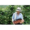 thumbnail image 4 of Homestead Coffee Co. - 100% Columbian Roast - Gourmet Coffee, 4 of 6