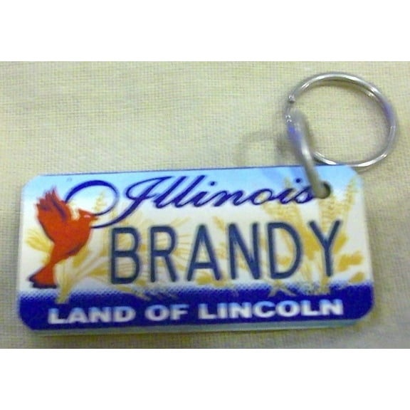 Illinois Land of Lincoln "Brandy" Keychain, Key Holder, Key Ring New