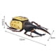 thumbnail image 2 of Modelo De Insecto Simulado Modelo De Insecto Realista Insecto De Plástico Y Decoración De Insectos Juguetes Para Niños Eigraketly FN007276-02, 2 of 6