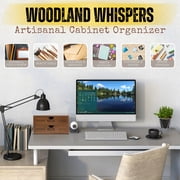 Wooden Desktop Office Supplies Organizer with 2 Storage Drawers Set, 2-Tier Wood Tabletop Cabinet, Countertop Desk Accessories Box, for Home Workspace Counter Vanity Decor Art Craft Tool Mail