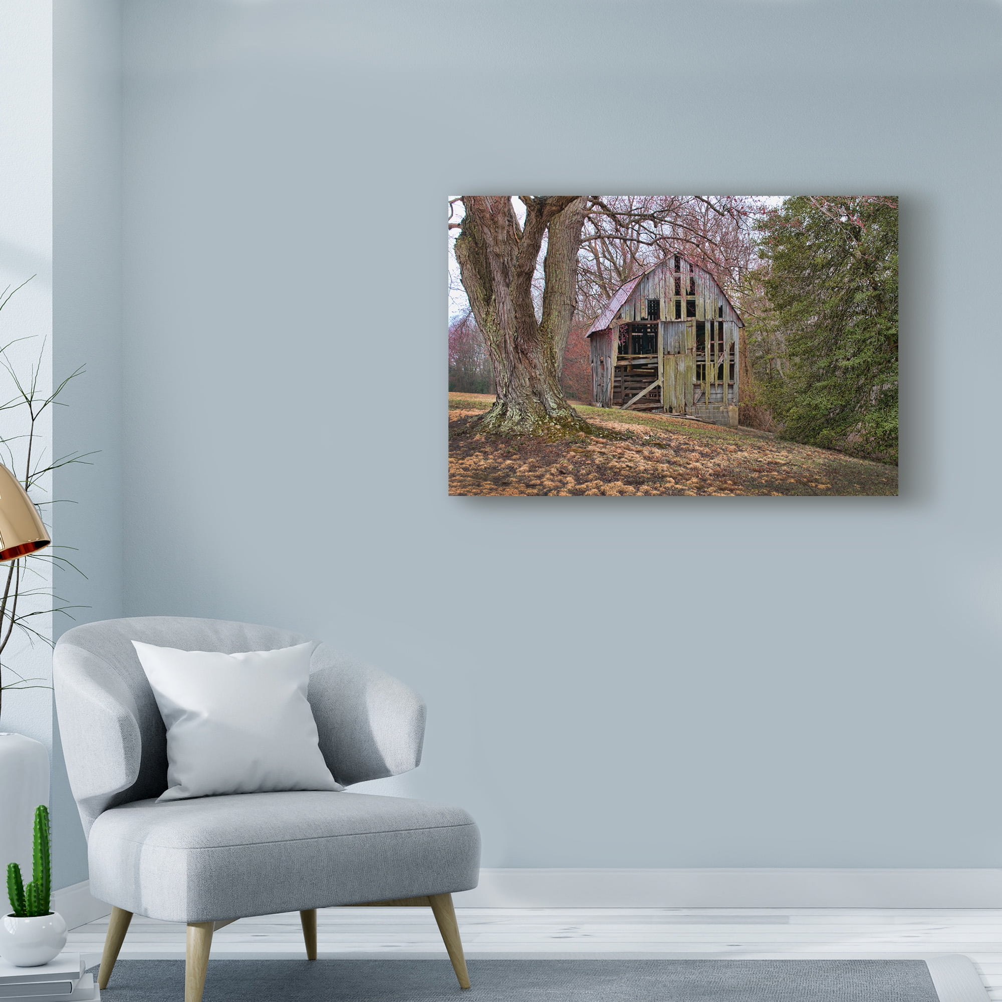 Barn Shell' Canvas Art by Lori Hutchison