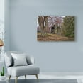 thumbnail image 3 of Trademark Fine Art 'Barn Shell' Canvas Art by Lori Hutchison, 3 of 3
