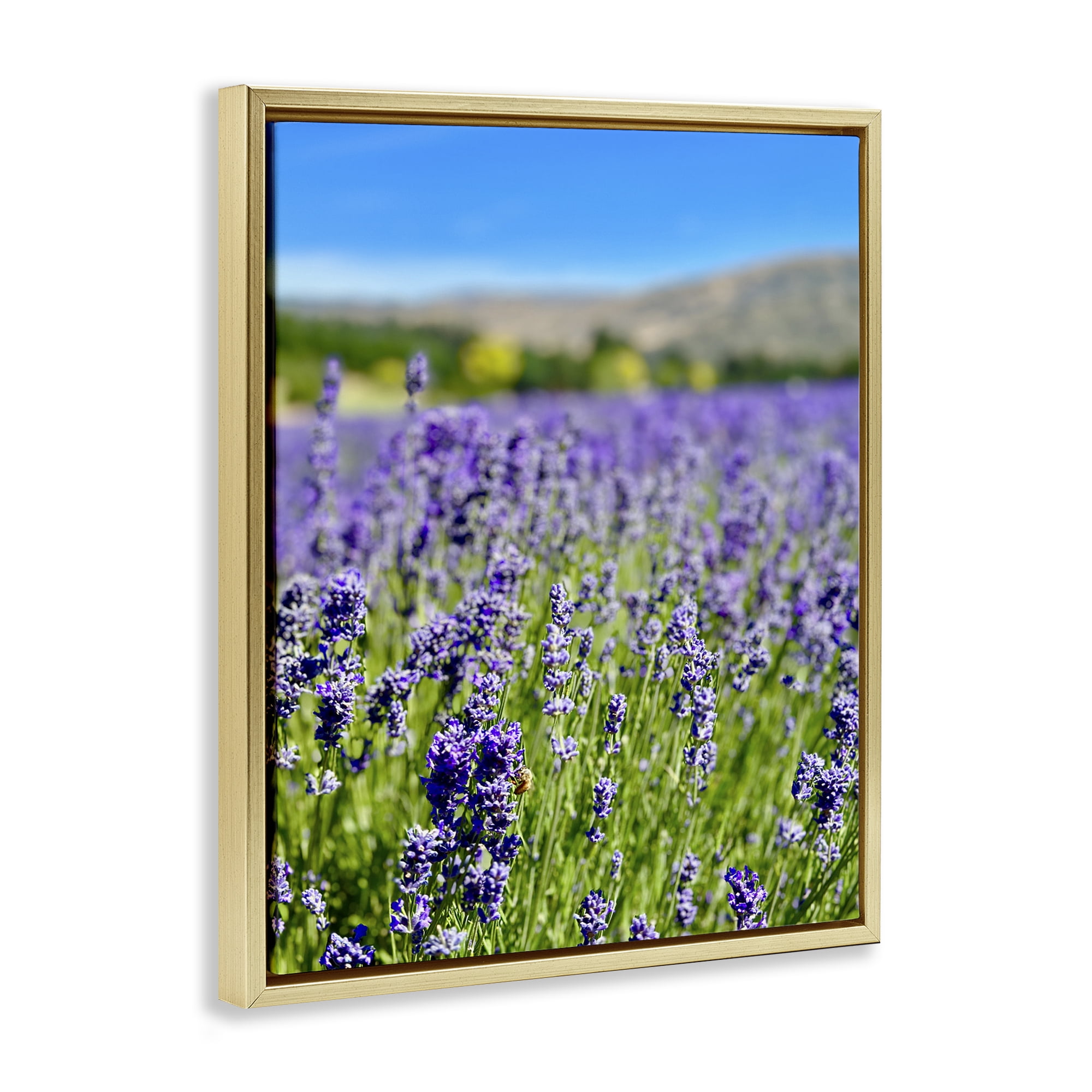 Stupell Industries Lavender in the Wind Landscape Photography Gold Floater Framed Art Print Wall Art, 17 x 21