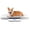 Small, variant on Digital Pet Scale for Dogs and Cats, Large Dog Scale,Max 220lbs,Rechargeable Version, 3 Weighing Modes lbs,kg,st,Precision 10g, 27.16×12.99 Inches