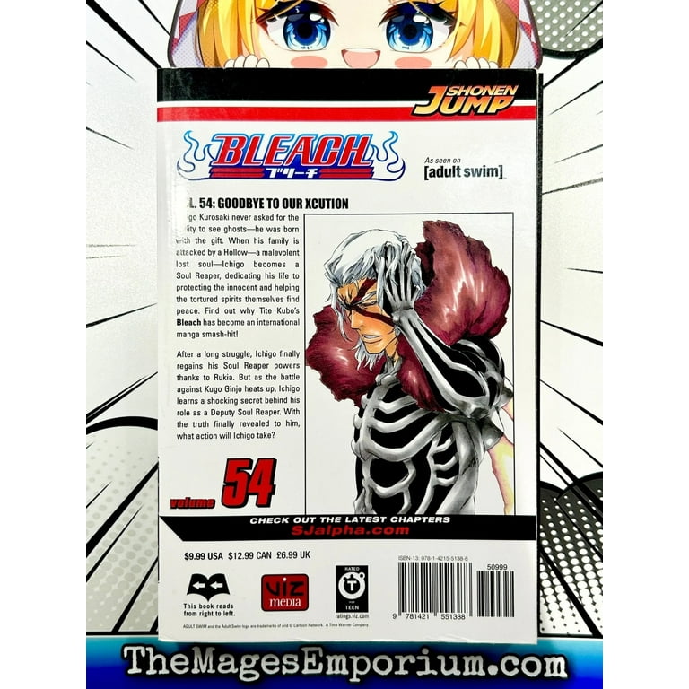 Bleach Bleach, Vol. 54, Book 54, (Paperback) - Walmart.com