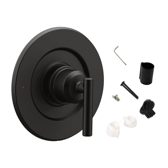NATEFEMIN Matte Black Shower Valve Trim Kit Stainless Steel Durable Design for Moen 2520 2570 Series Easy Temperature Control