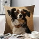 thumbnail image 4 of CaiYueKe Animal Print Pillow Cover 45x45cm - Decorative Cushion Cases with Cute Animal Patterns for Bedroom, Living Room, and Sofa, Soft Accent Throw Pillowcases for Holiday Home Decor, 4 of 7
