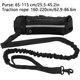 thumbnail image 3 of Hands Free Dog Leash for Running Walking Reflective Leash with Waist Bag Retractable Elastic Belt Dog Traction Rope Pet Products, 3 of 5