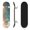 Color 4, variant on 31"x8" drawn pineapple Minimalism Complete Skateboard for Beginners succulent Dreamy Dreamy Tropical 7 Layer Maple Deck Double Kick Kids Skateboard with 85A PU Wheels Gifts for Kids Teens