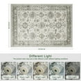 thumbnail image 5 of 2x3 Indoor Entryway Rug, Small Washable Area Rug Non-Slip Vintage Door Mat Entrance, Low Pile Floor Carpet for Door, Entrance, Farmhouse, Bathroom, Bedroom, Kitchen., 5 of 11