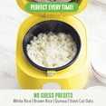 GreenLife Healthy Ceramic Nonstick, 4Cup Rice and Grains Cooker