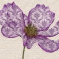 thumbnail image 3 of Greene, Taylor 15x15 Black Modern Framed Museum Art Print Titled - PATTEREND PETALS I, 3 of 5