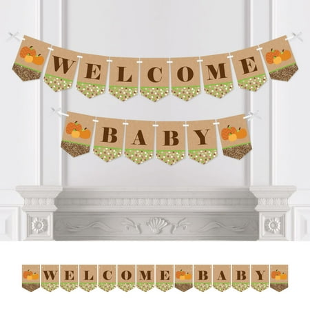 pumpkin patch fall baby shower party bunting banner pumpkin