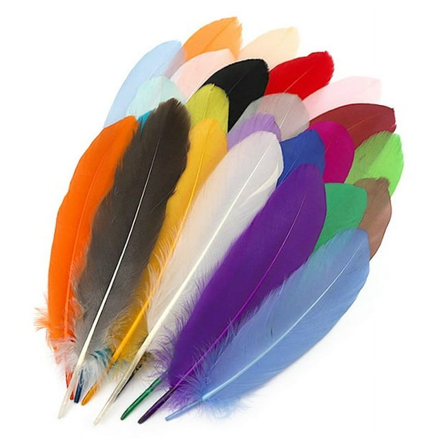 Craft Feathers,25Pcs Colorful Feathers Assorted Natural Feathers Assorted Feathers Exceptional Craftsmanship