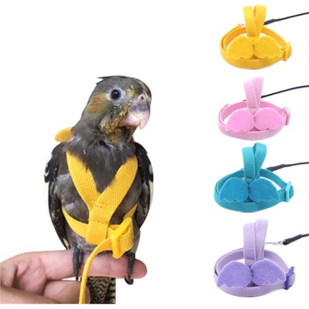 GYTY Bird Harness Parrot Leash -Adjustable Outdoor Flying Kit for Parrot Budgie Lovebird Cockatiel Macaw Parakeet (Purple M)
