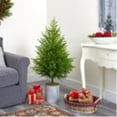 thumbnail image 4 of Nearly Natural 49in. Norfolk Island Pine  Look Artificial Tree, 4 of 5