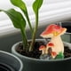thumbnail image 4 of Decoración de hongos, lindo y único adorno de bonsái de hongo artificial, decoración del hogar de primera línea, 4 of 10