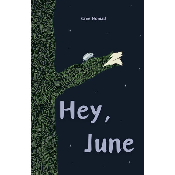 Pre-Owned Hey, June (Paperback) 1738315304 9781738315307