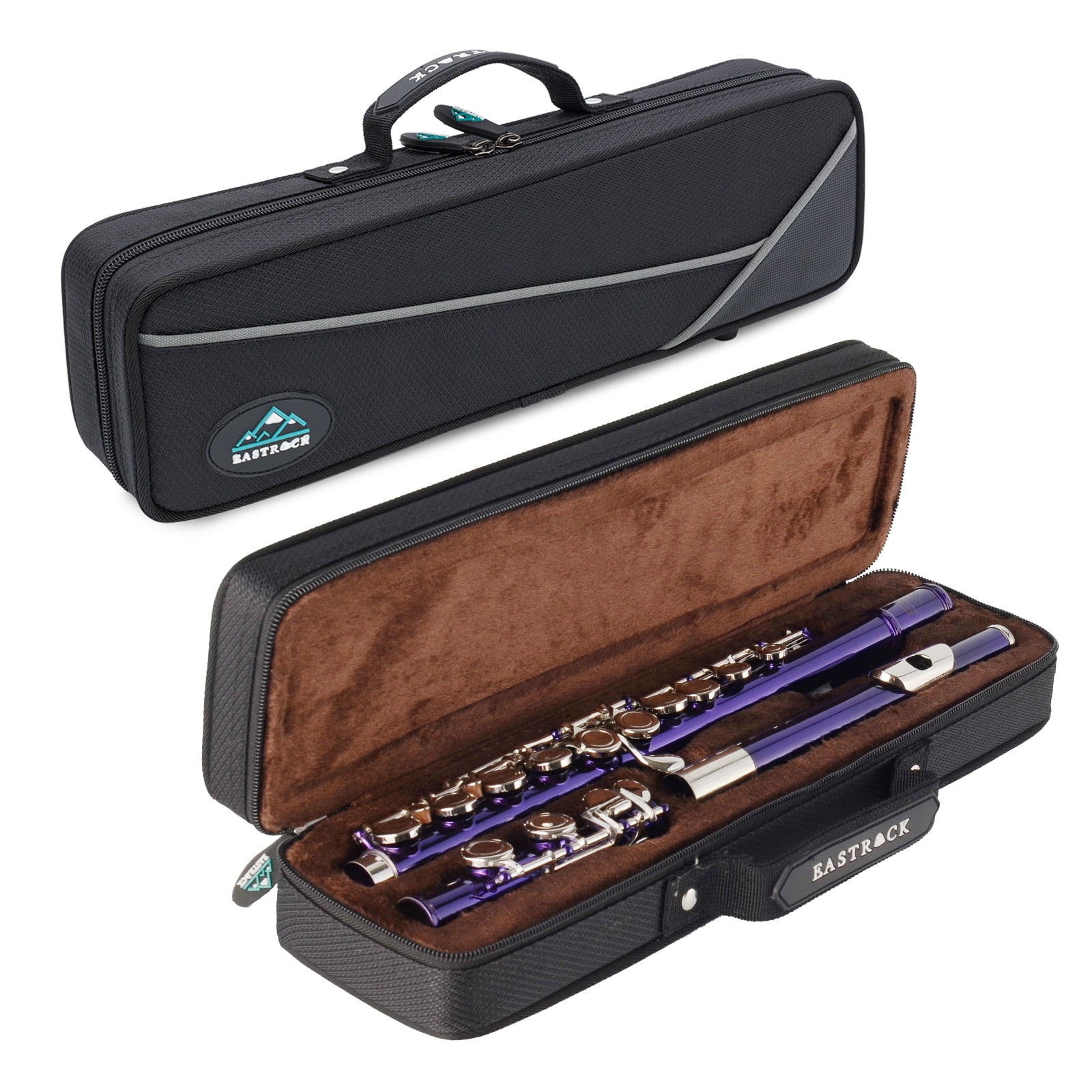 EASTROCK Closed Hole Nickel Plated Flute Soprano Recorder in C 16 with Professional Care Set for School Ensembles and Beginners Purple
