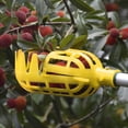 High Altitude Fruit Picking Bayberry Persimmon Cherry Tool Orchard high-altitude-fruit-picking-bayberry-persimmon-cherry-tool-orchard