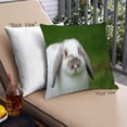 thumbnail image 1 of Ahgly Company Animals Rabbit Outdoor Throw Pillow, 18 inch by 18 inch, 1 of 6