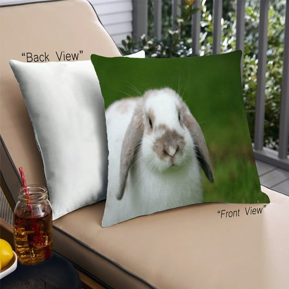 Ahgly Company Animals Rabbit Outdoor Throw Pillow, 18 inch by 18 inch