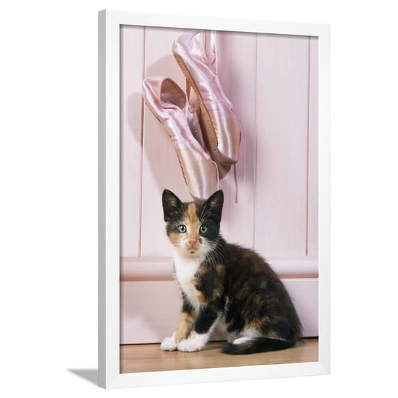 Tortoiseshell Cat Kitten with Ballet Shoes, Animals Figurative Framed Art Print Wall Art