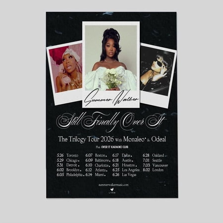 Music Poster Miss. Pizza Hut Still Finally Over It Tour Size 24''x36'' Goldengate