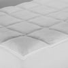 Plush Microtec Fiber Bed