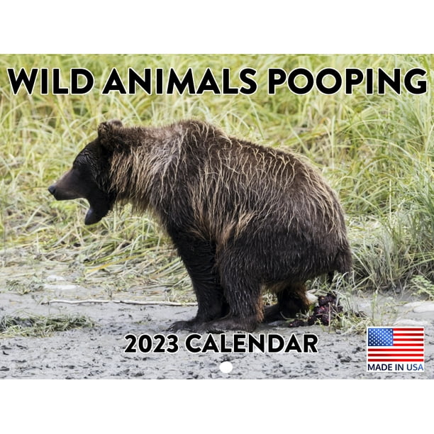 Funny Wild Animal Pooping Calendar 2023 Monthly Wall Hanging Calendar Gag  Gift Parody Nature Calls Pet Poop Large Planner 24 Months - Full 2023 Write  On Grid Plus Bonus 2024 Preview Chart - Made USA 