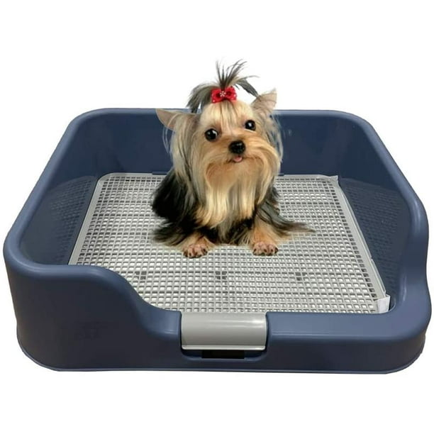 Indoor Dog Potty Tray Pad Box Training Blue- with ...