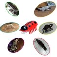 thumbnail image 3 of Jouet de Chat Interactif Mini Robot Électronique Scarabée - Jeu d'Intérieur Amusant et Éducatif pour Chats et Chatons (2pcs), 3 of 5