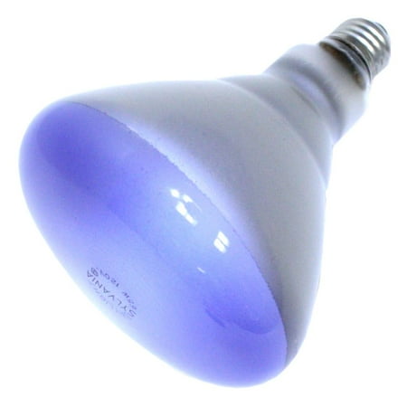 Sylvania 15487 - 65BR/FL/DAY/1 Reflector Flood Daylight Full Spectrum Light Bulb