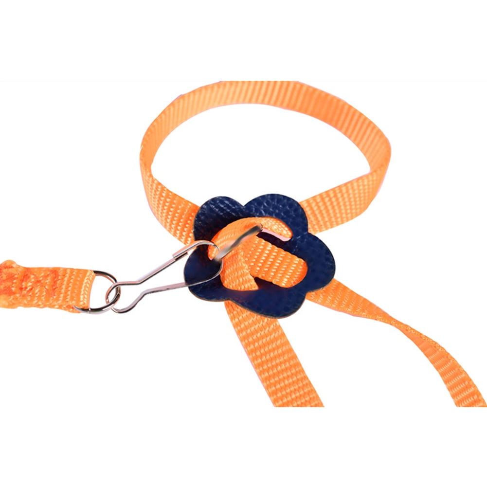 Tortoise Ropes RONSHIN 8 Shape Flying Training Rope Pet Leash for Parrot Bird Hamster ...
