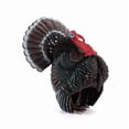 thumbnail image 1 of Figura realista de pavo de plástico PVC modelo animal de 6,6 cm, 1 of 2