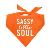 Sassy Little Soul Triangle Dog Bandana