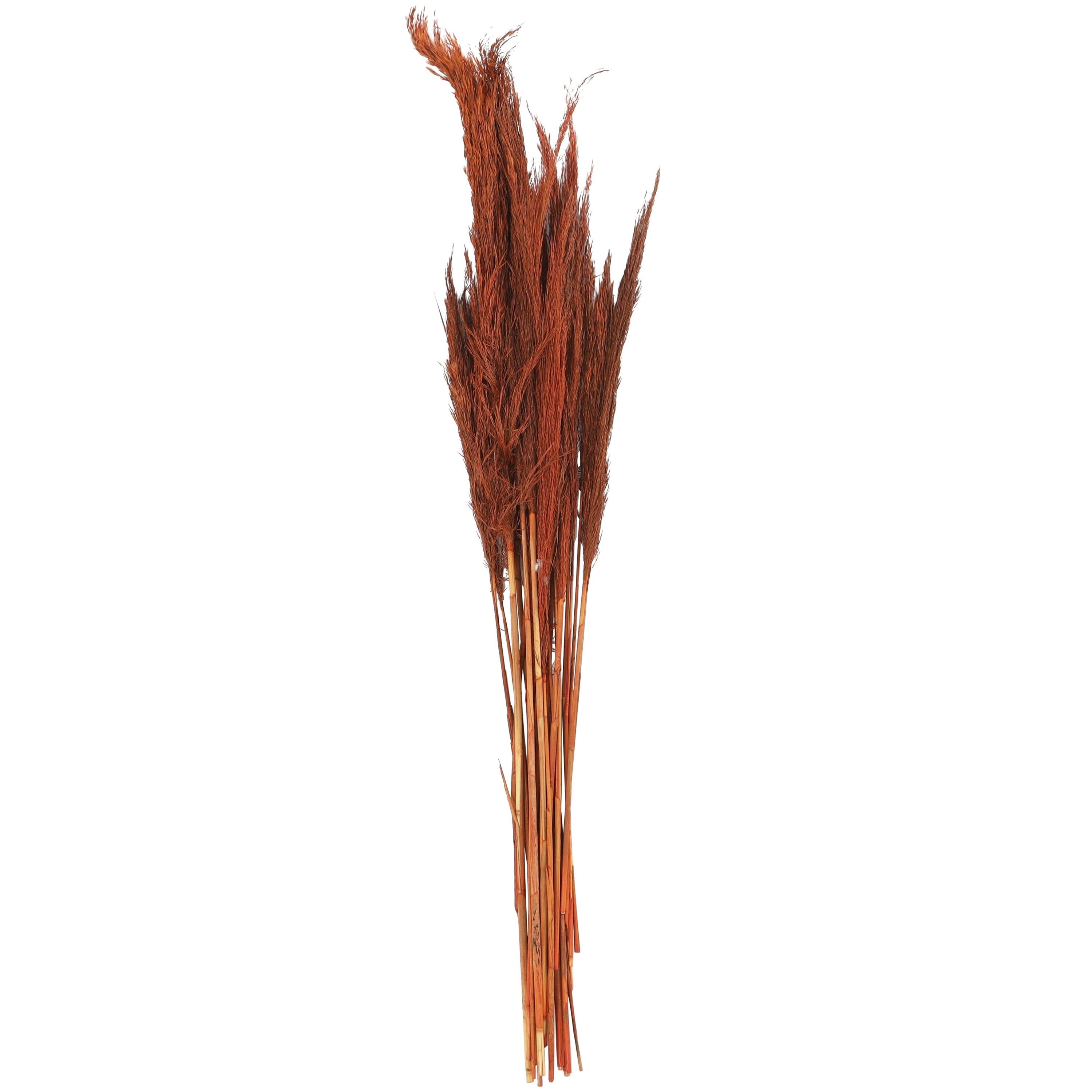 35" Tall Dried Plant Natural Foliage Pampas Grass Bouquet, by DecMode