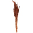 thumbnail image 6 of 35" Tall Dried Plant Natural Foliage Pampas Grass Bouquet, by DecMode, 6 of 7