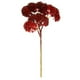 thumbnail image 1 of Adorno Hogar Artificiales Flores Hierba Planta de Desierto para Oficina Boda, 1 of 6