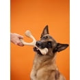thumbnail image 3 of BetterBone Hard Classic, Large, 3 of 4