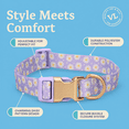 thumbnail image 5 of Vibrant Life Polyester Daisy Dreams Adjustable Fashion Dog Collar, Purple, L, 5 of 9